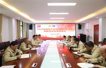 廖立波、唐峰、何勇以普通黨員身份參加所在黨支部2022年度組織生活會(huì)