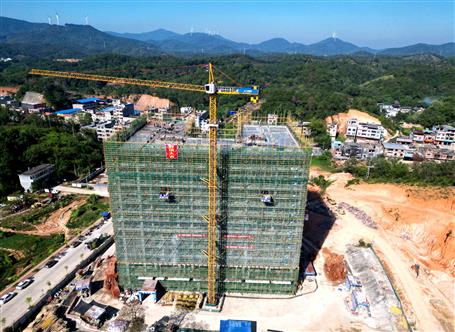 【錨定目標 奮力沖刺】冶建第五分公司欽州市浦北陳皮產業(yè)園項目主體結構順利封頂